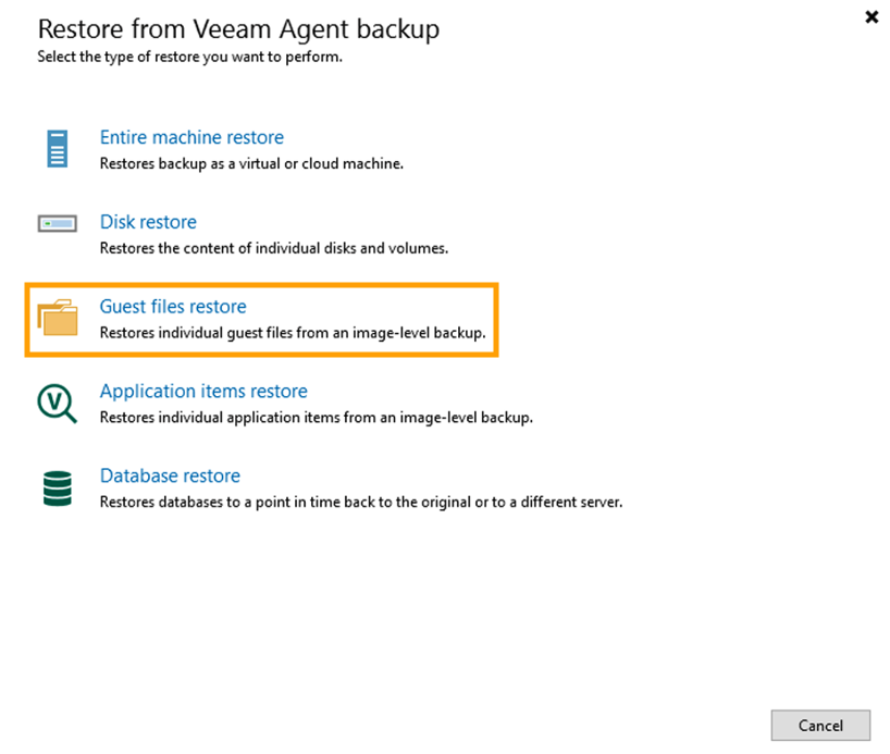Guest files restore
