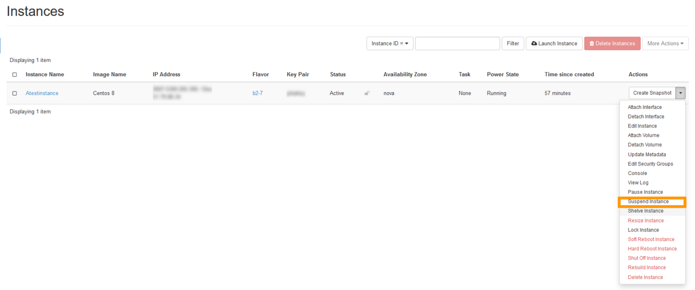 suspend instance Horizon