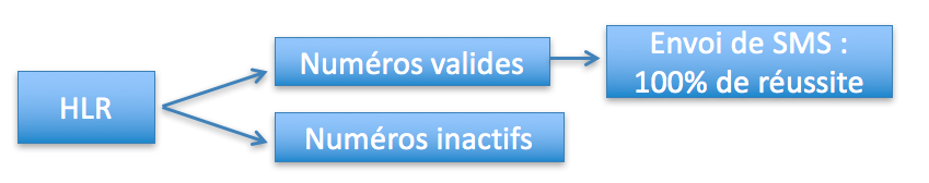 Optimisation de campagne SMS via HLR