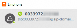 connexion réussie linphone