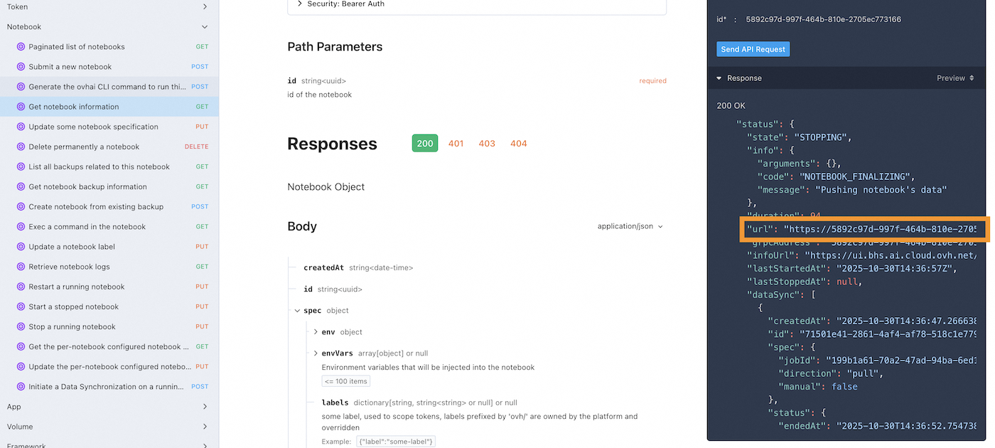 Access a Notebook API