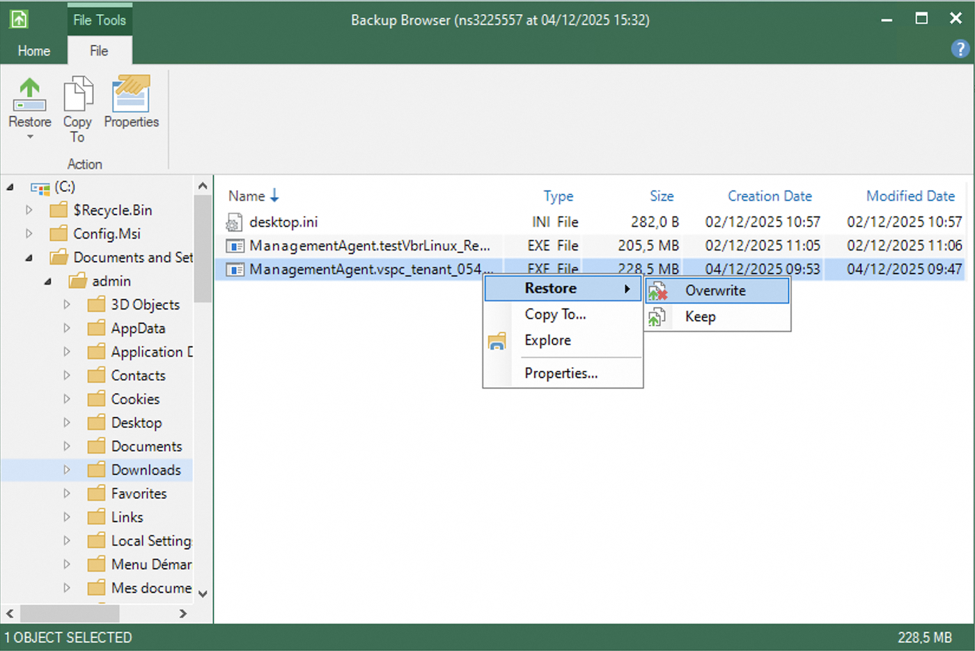 Backup Agent Restore Wizard